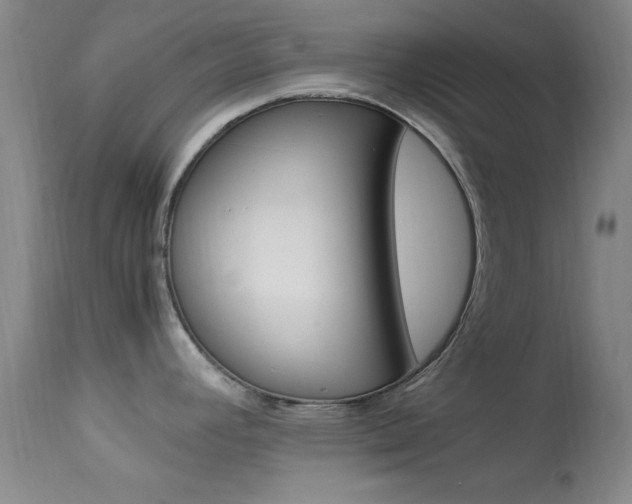 X0000113621392200909181105
