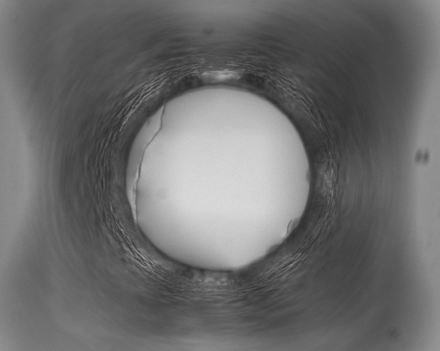 X0000113621393200909181104