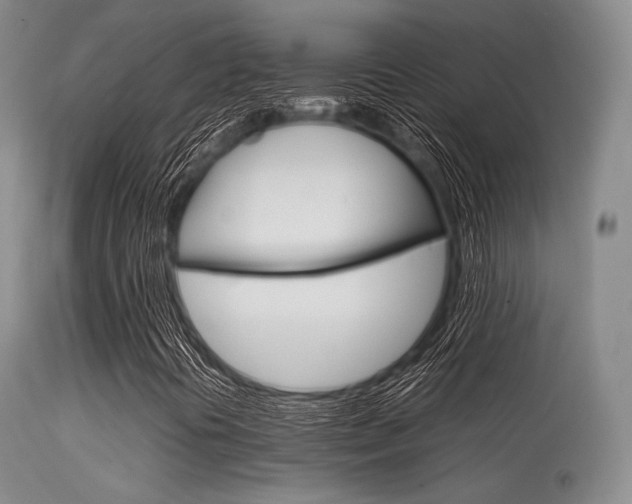 X0000113621394200909181104