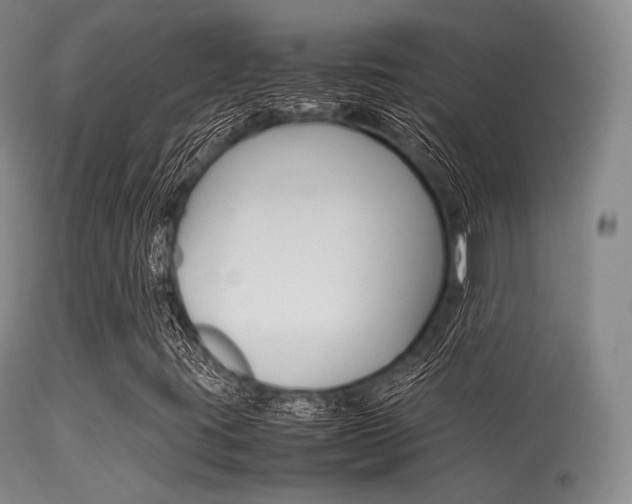 X0000113621395200909181104