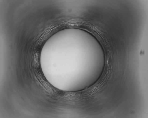 X0000113621396200909181104