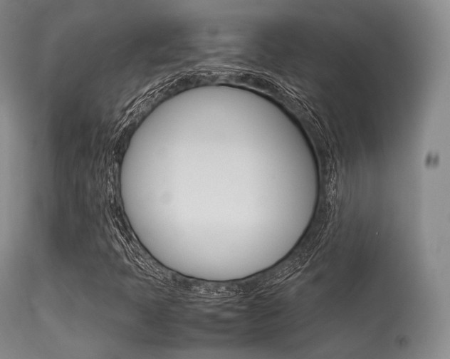 X0000113621397200909181104