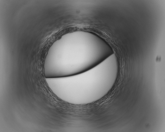 X0000113621398200909181104
