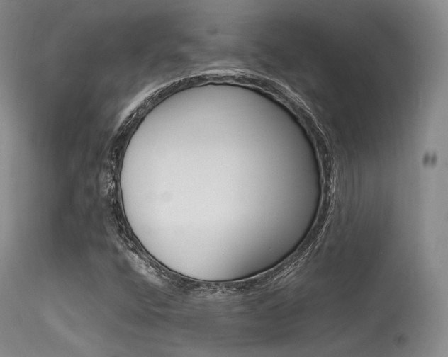 X0000113621400200909181104
