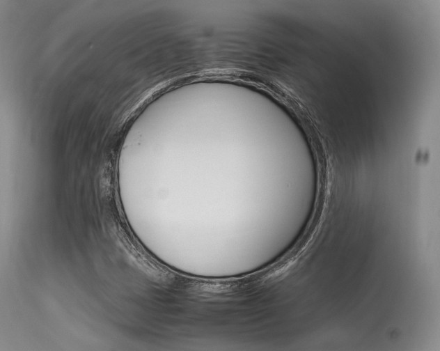 X0000113621401200909181105