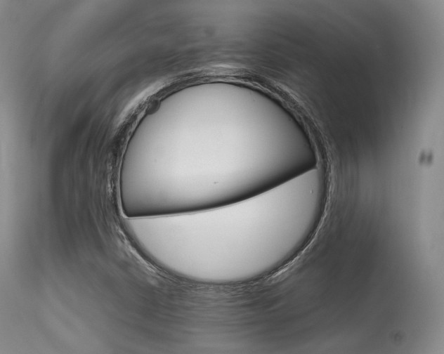 X0000113621402200909181105