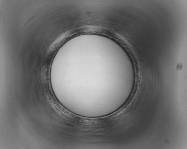 X0000113621403200909181105