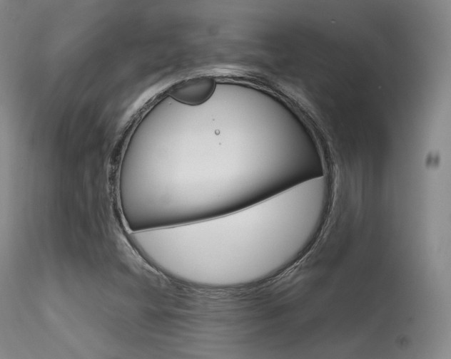 X0000113621404200909181105