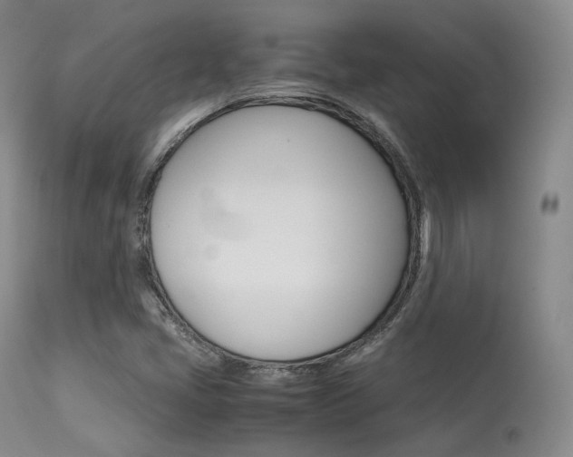 X0000113621405200909181105