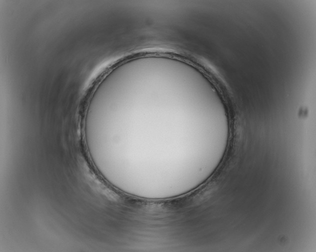 X0000113621408200909181105