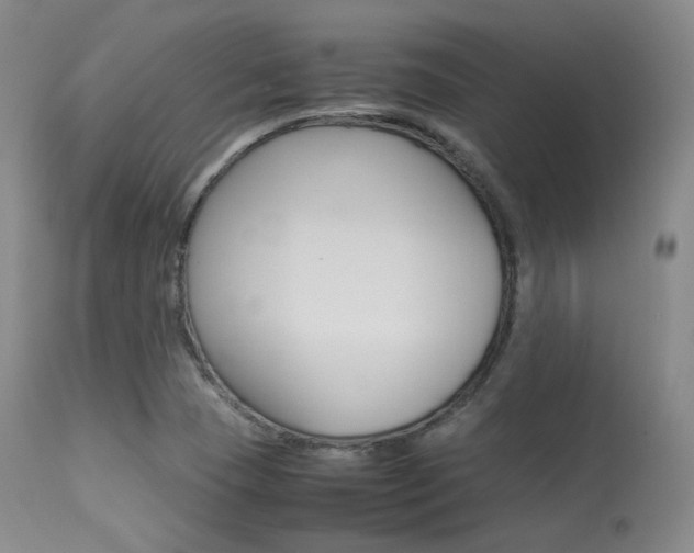 X0000113621409200909181105