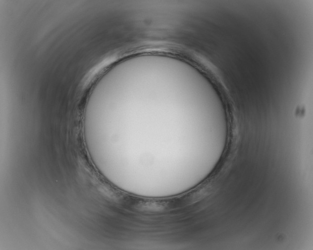 X0000113621411200909181105