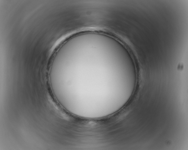 X0000113621412200909181105