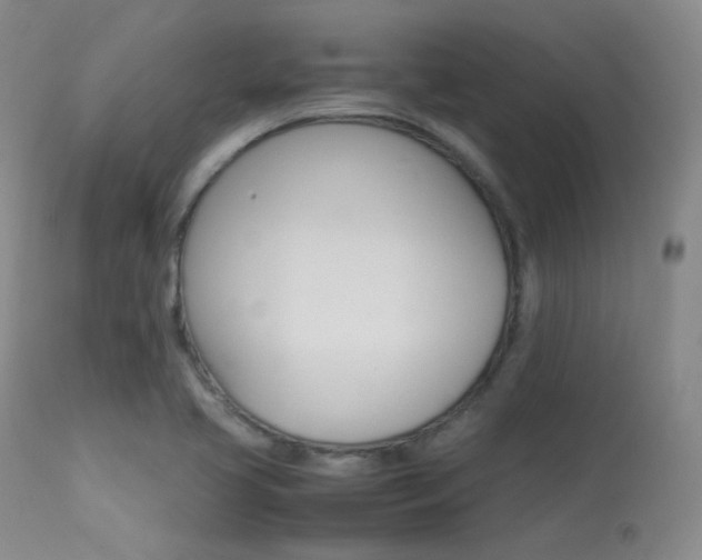 X0000113621413200909181105