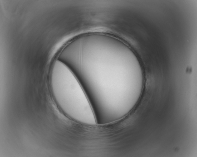 X0000113621414200909181105