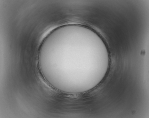 X0000113621415200909181105