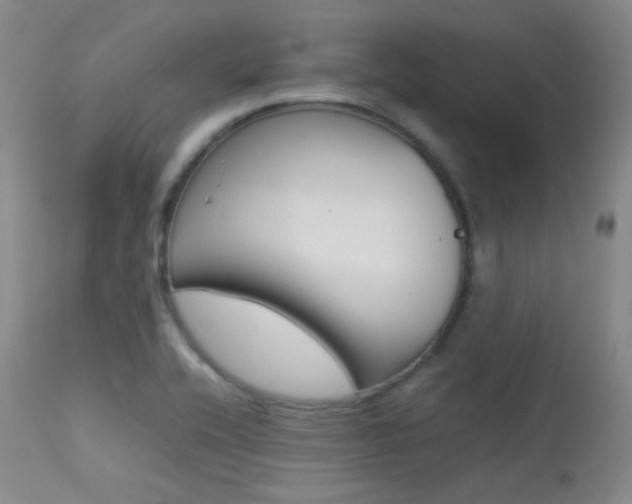 X0000113621416200909181105