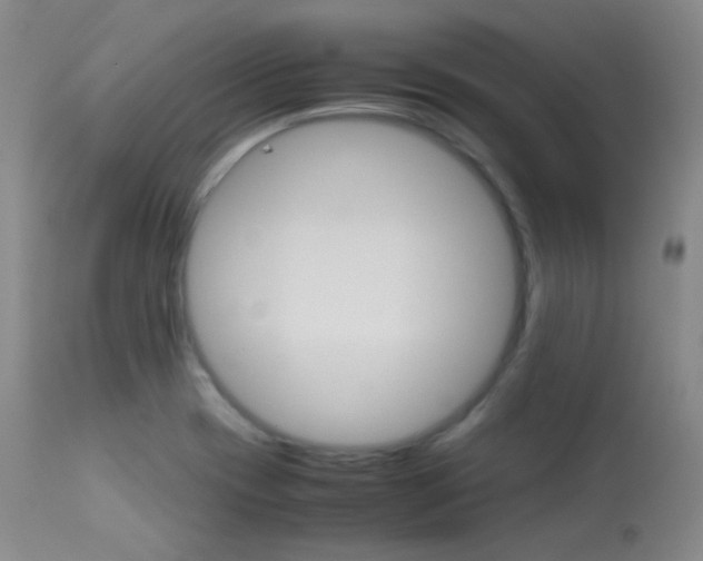 X0000113621417200909181105