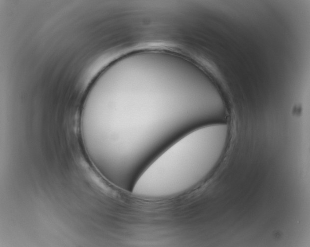 X0000113621420200909181105