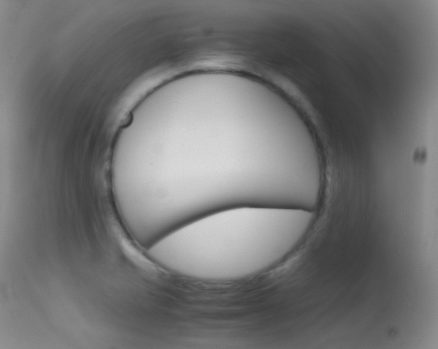 X0000113621421200909181105
