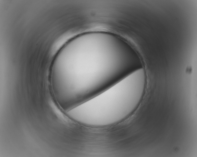 X0000113621422200909181105