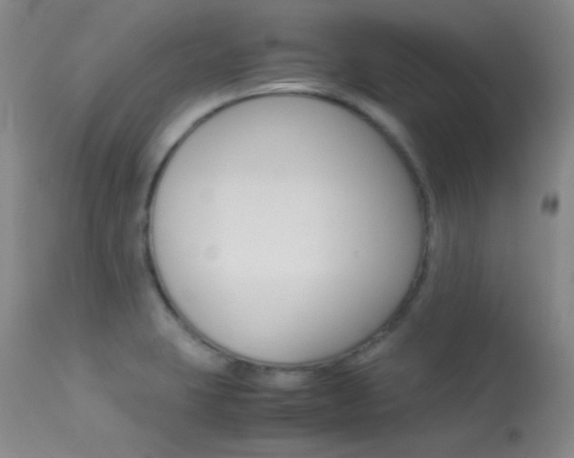X0000113621423200909181105