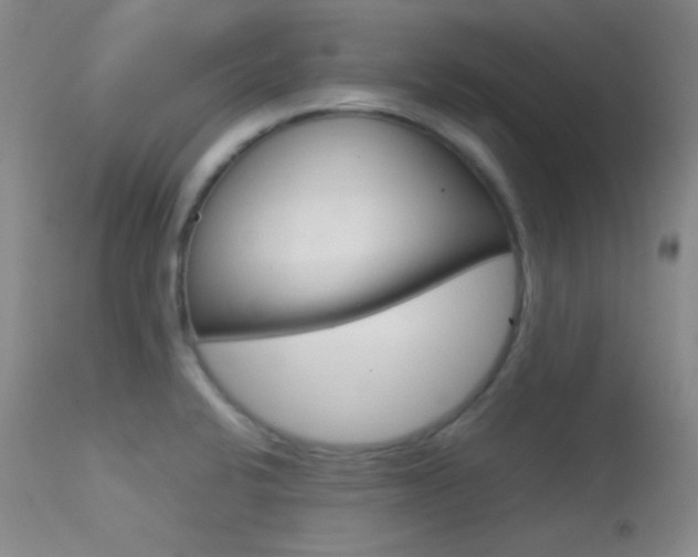 X0000113621424200909181105