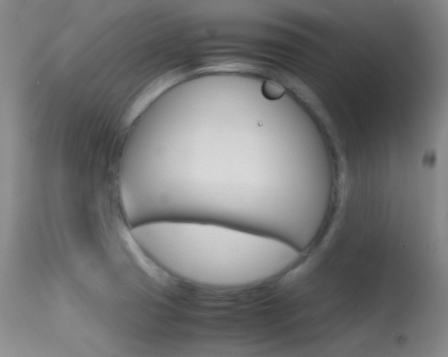 X0000113621425200909181105