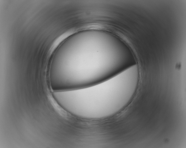 X0000113621426200909181105