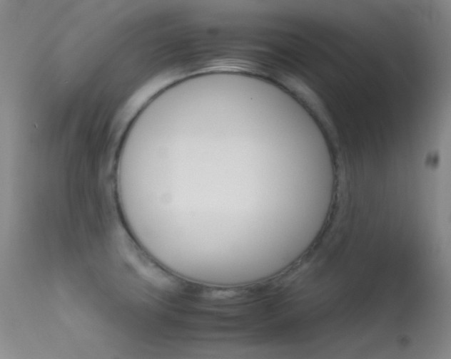 X0000113621427200909181105