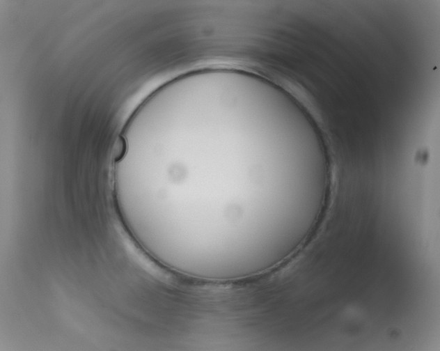 X0000113621428200909181105