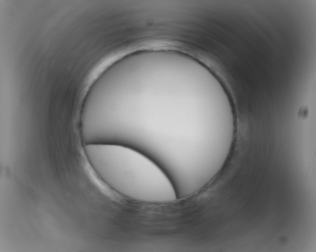 X0000113621429200909181105