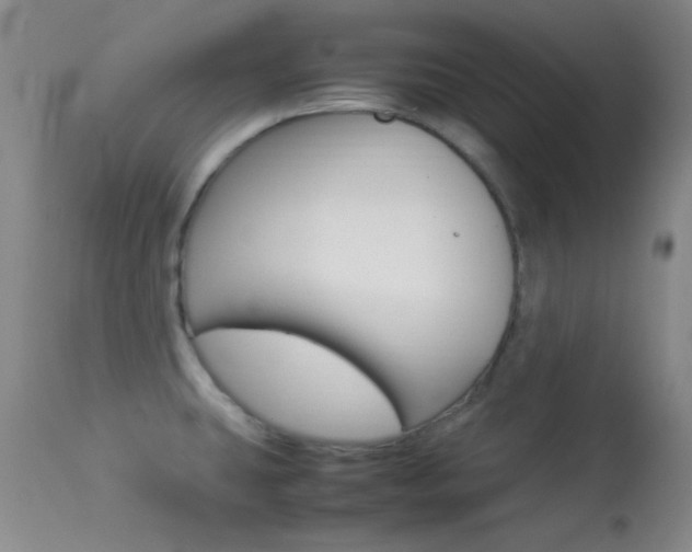 X0000113621431200909181105