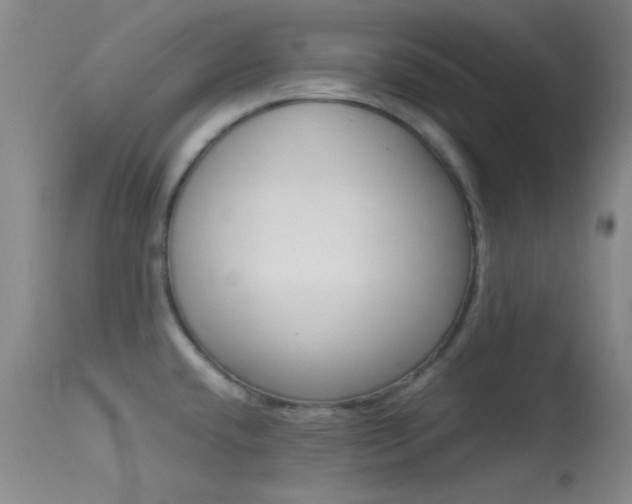 X0000113621432200909181105