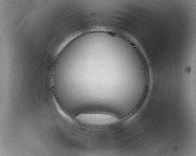 X0000113621433200909181105