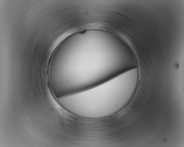 X0000113621434200909181105
