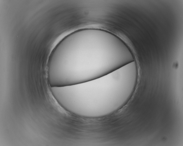 X0000113621436200909181105