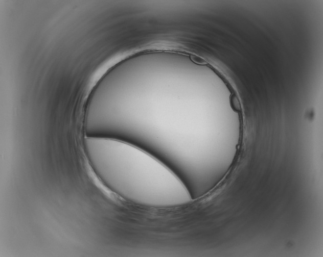X0000113621437200909181105