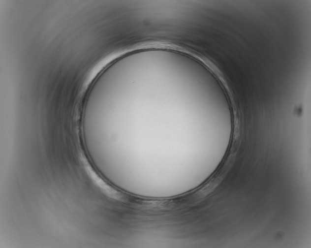 X0000113621438200909181105