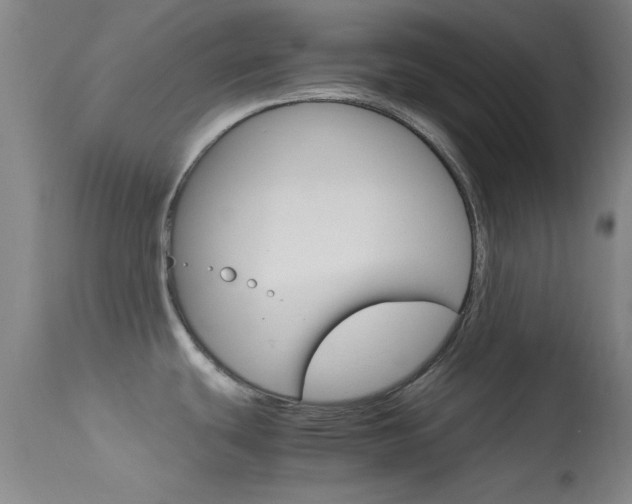 X0000113621439200909181105