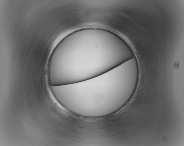 X0000113621440200909181105