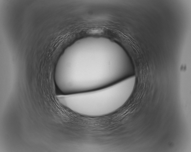 X0000113621441200909181104