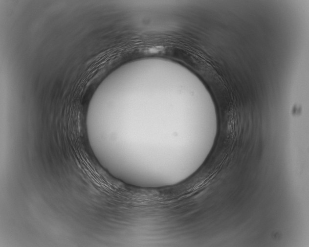 X0000113621442200909181104