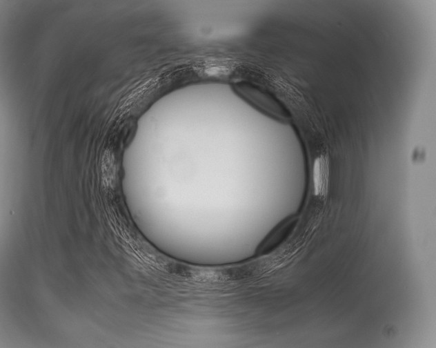 X0000113621443200909181104