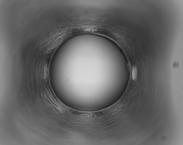 X0000113621444200909181104