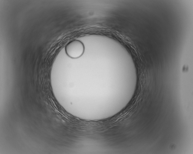 X0000113621445200909181104