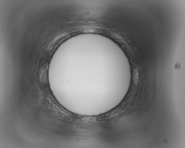 X0000113621446200909181104