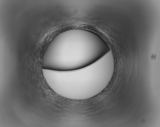 X0000113621447200909181104