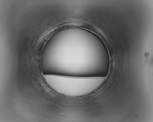 X0000113621448200909181104