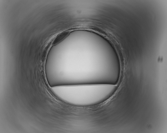 X0000113621449200909181104